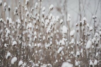 Understanding the Relationship Between being Sedentary and the Winter Blues